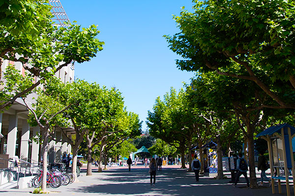 South-Treeline-UpperSproul2