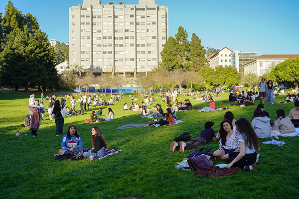 Superb Movie on Memorial Glade