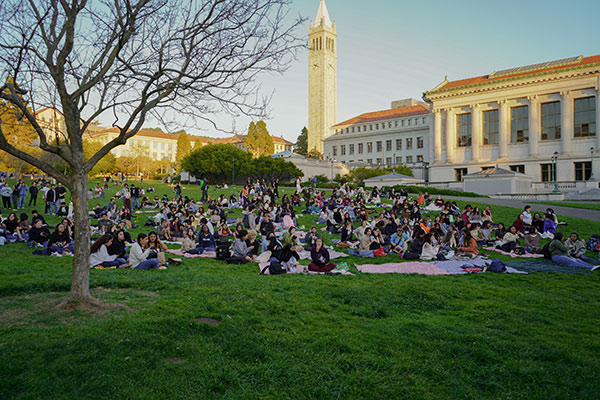 Superb Movie on Memorial Glade