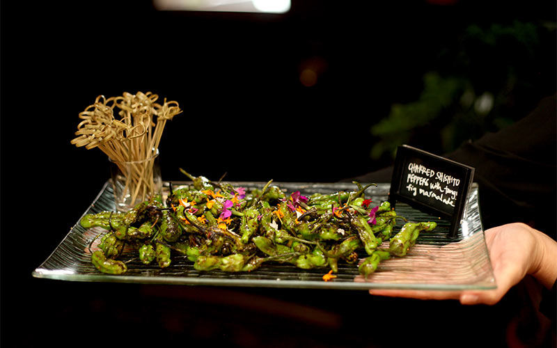 Catering